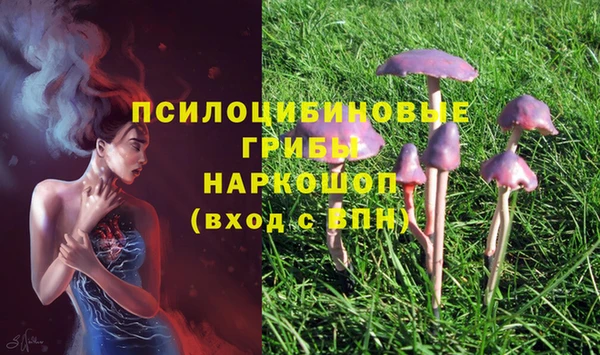 mix Лабытнанги