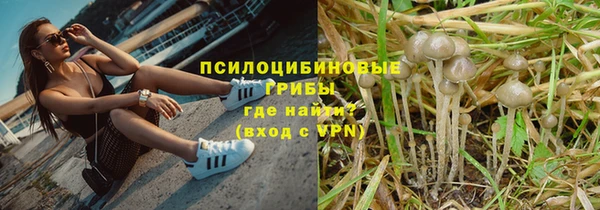 jwh Ладушкин