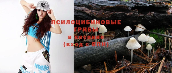 mix Лабытнанги