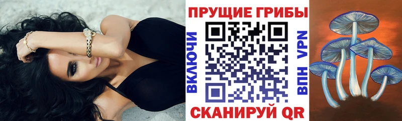 Купить закладки  Унеча  Галлюциногенные грибы ЛСД 